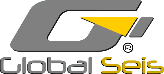 Global SEIS